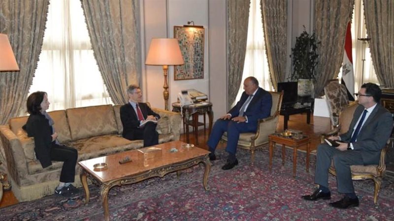 شكري يبحث مع رئيس