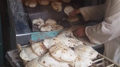 تحرير 25 مخالفة تموينية متنوعة بمركز ملوي 