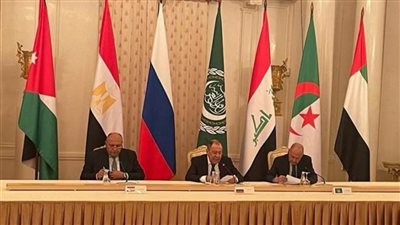 شكري: الدول العربية تدرك خطورة تداعيات الأزمة الروسية الأوكرانية على السلم والأمن الدوليين