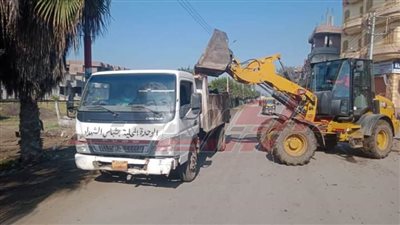 حملات نظافة مكبرة بمدينة بيلا في كفر الشيخ