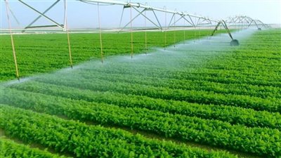 في 12 معلومة.. هذه إنجازات الدولة لزيادة الرقعة الزراعية.. حلول جذرية لأزمة التضخم العالمي