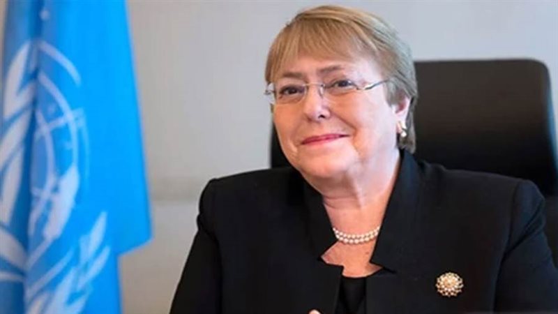 ميشيل باشليه المفوضة