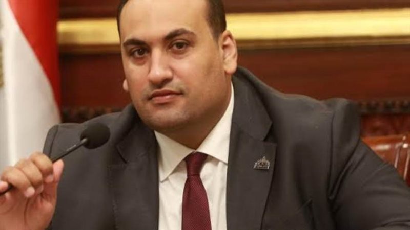 النائب محمد الرشيدي