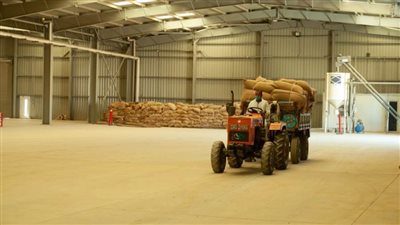 البنك الزراعي ينهي استعداداته لاستقبال أكثر من 850 ألف طن قمح محلي