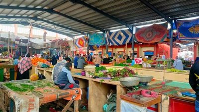 ننشر قائمة أسعار الخضروات والفاكهة واللحوم في الإسماعيلية