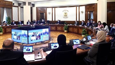 الحكومة توافق على إنشاء منطقة حرة خاصة لشركة المجموعة المصرية للمحطات متعددة الأغراض 