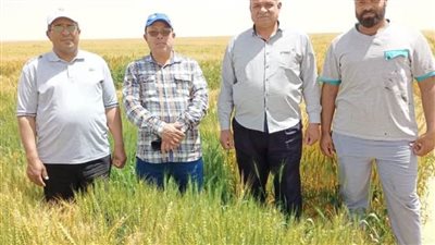 وكيل زراعة الوادي الجديد يجري زيارات ميدانية لمتابعة محصول القمح