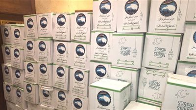 أمانة قطاع الأعمال لحزب مستقبل وطن بالجيزة تطلق قافلة الخير