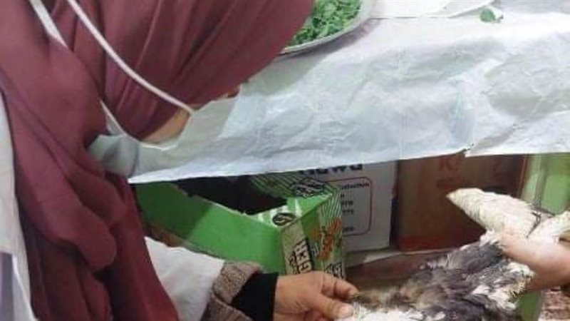 تحصين الطيور