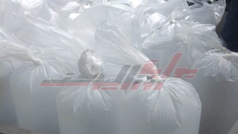 ضبط الزريعة