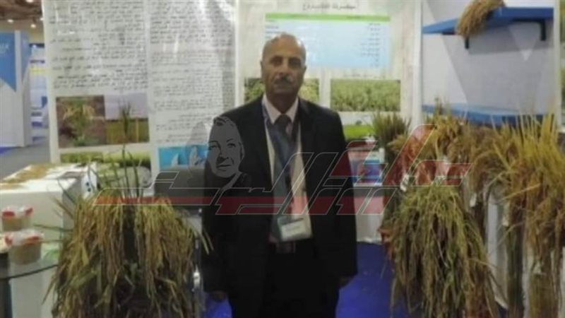 الدكتور حمدي موافي