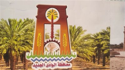 عاصفة ترابية وانخفاض الرؤية ورفع درجة الاستعداد القصوى بالوادى الجديد 