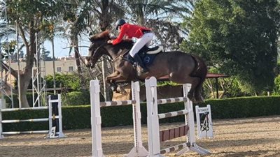 منافسات شرسة في بطولة كأس مصر للفروسية لقفز الموانع 