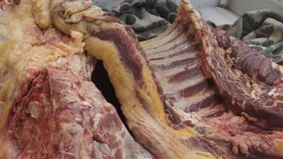 ضبط 226 كيلوجراما لحوم مذبوحة خارج المجازر بديرمواس جنوب المنيا