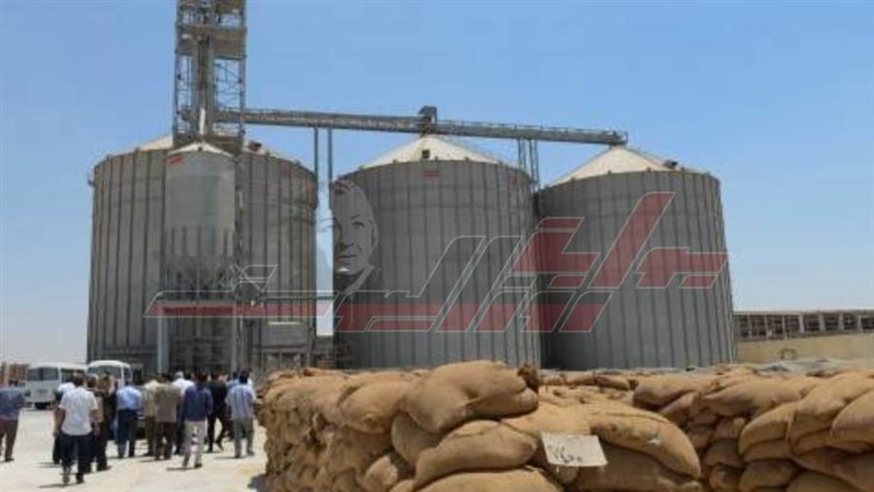 حصاد الغلال