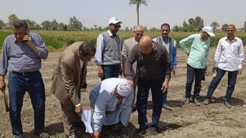 لجنه لفحص شكاوى مزارعى