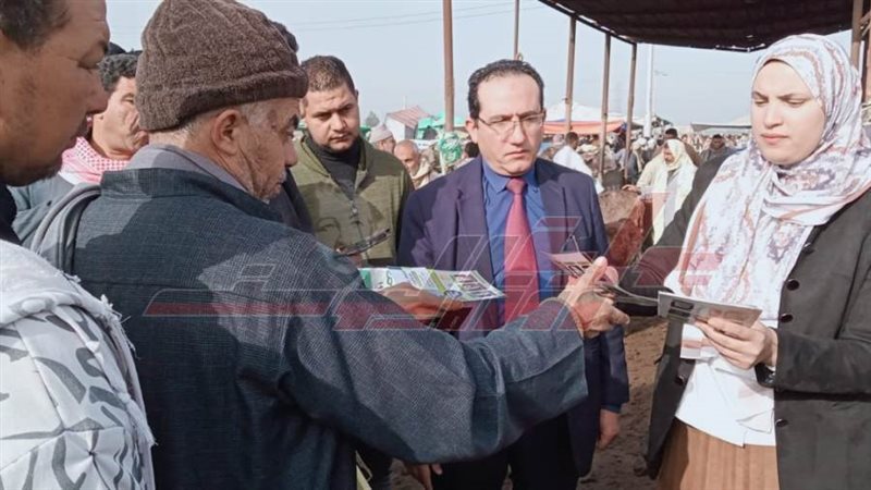 خلال الحملات