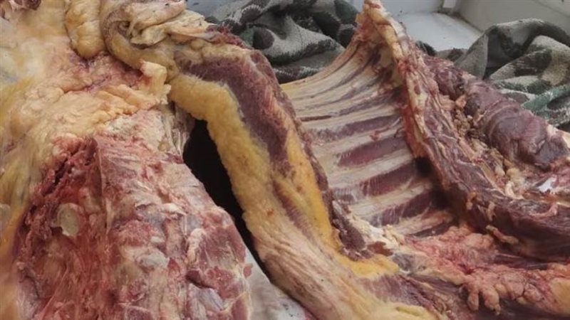 ضبط لحوم مذبوحة خارج