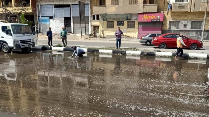 بوابة روز اليوسف