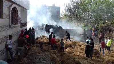 نشوب حريق في حظيرة مواشي بالدقهلية 