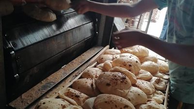 تحرير 50 مخالفة تموينية خلال حملات على المخابز البلدية بمطاي
