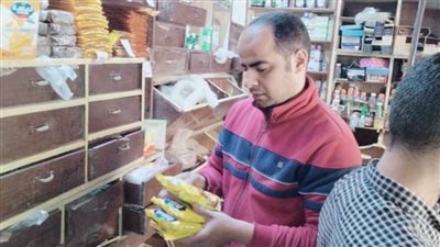 صحة المنيا تحرر 200 محضر لمنشآت غذائية مخالفة خلال شهر مارس