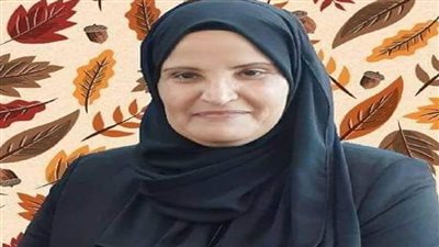 السواركة: تنمية شاملة غير مسبوقة تحدث على أرض سيناء في عهد الرئيس السيسي