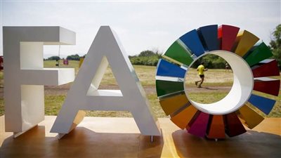 روسيا تدعو منظمة 