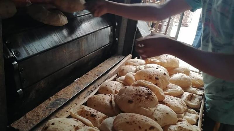 حملة تموينية مكبرة