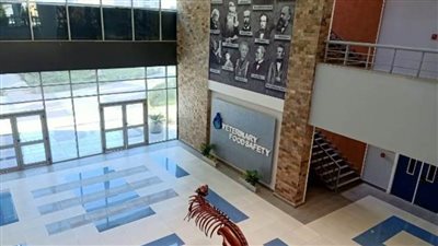 الطب البيطرى بجامعة القاهرة تضع ضوابط لتناول اللحوم فى رمضان