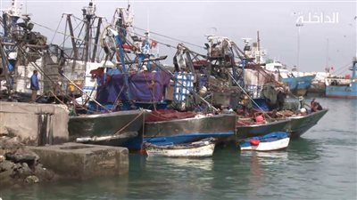 فتح ميناء الصيد البحري ببرج البرلس تدريجيا