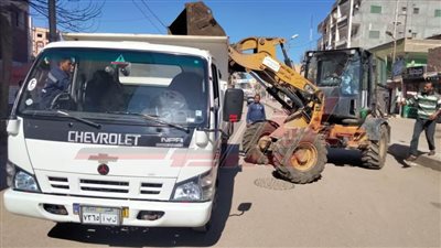 حملات نظافة وتجميل بمدن كفر الشيخ