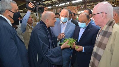 وزير التنمية المحلية ومحافظ القاهرة يتابعان توافر الخضروات والفاكهة والأسماك للمواطنين