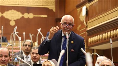 الجندي: فضح مخططات الإخوان جعلت البعض يحاول نشر الفتن لشق الصف الوطني