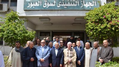 محافظ القاهرة: توجيهات القيادة السياسية زيادة المعروض وتخفيض الأسعار 