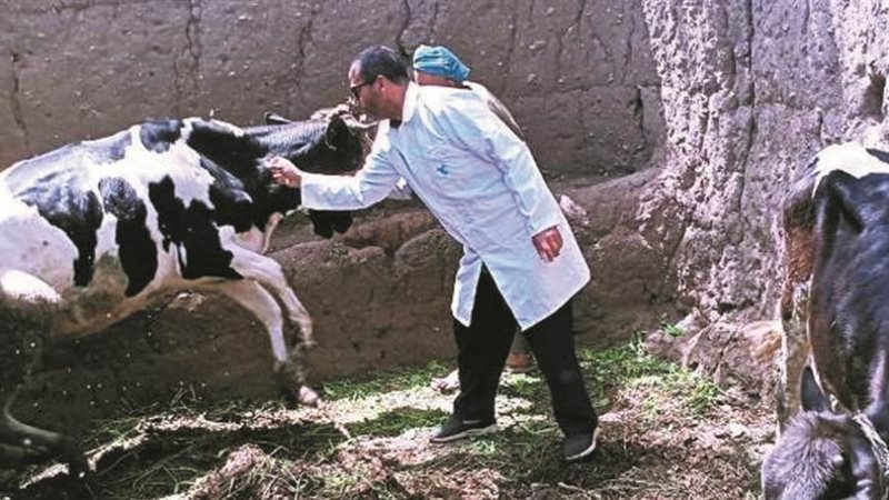 بيطري المنوفية