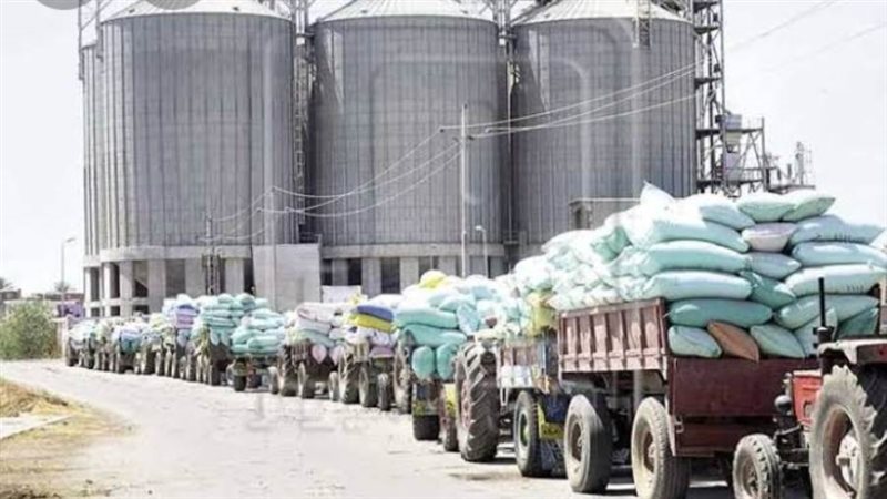 صوامع الخارجه تستقبل