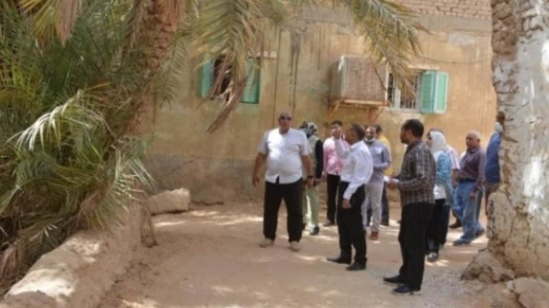 محافظ الوادي الجديد