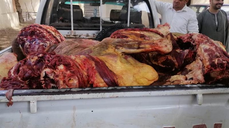 حملات رقابية بالمنيا