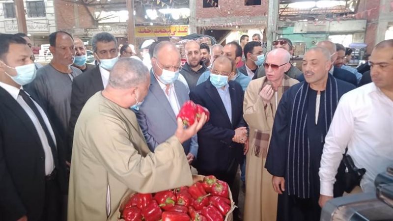 وزير التنمنية المحلية