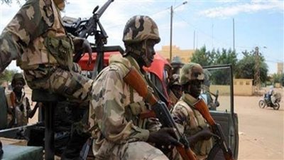    الجيش المالي يعلن القضاء على 12 إرهابيا في غارتين وسط البلاد