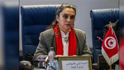 وزيرة البيئة التونسية: وضع حواجز لتطويق مكان غرق السفينة 