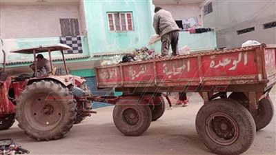 حملات نظافة وتجميل مكبرة بسيدي سالم في كفرالشيخ 