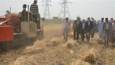 محافظ القليوبية يشهد حصاد محصول القمح ويلتقي بالمزارعين لحثهم على التوريد 