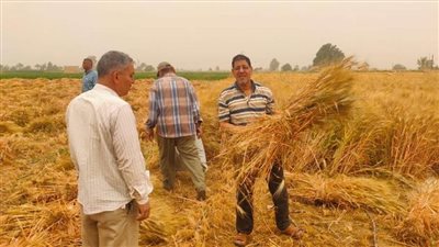 وزير الزراعة يتابع حصاد القمح في مختلف محافظات الجمهورية