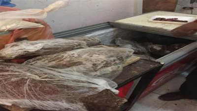 ضبط مصنع لحوم مخالف بالإسكندرية