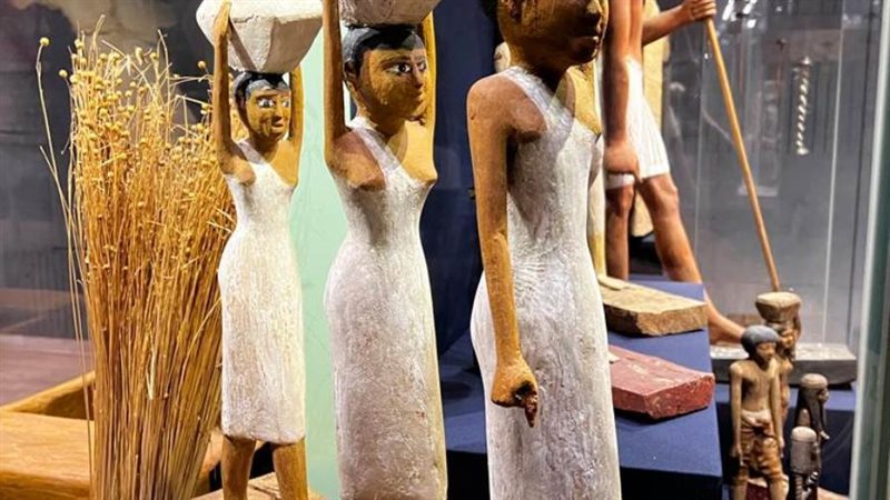 افتتاح قاعة النسيج