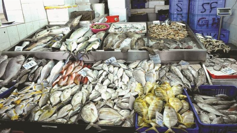 الاسماك _ارشيفية