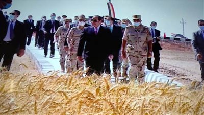 بالفيديو.. التغطية الكاملة لتفقد الرئيس السيسي منطقة توشكى وبدء موسم حصاد القمح
