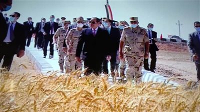  الأراضي الجديدة تهل بخيرها.. الرجال يحققون الوعد